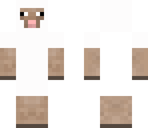 sheep