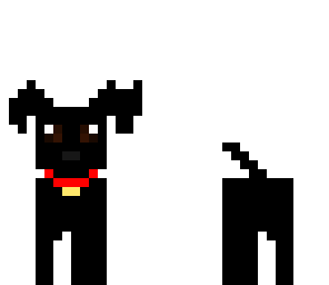 black lab