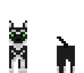 dog-husky
