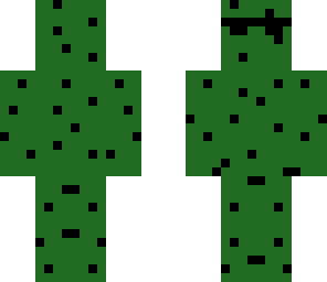 cactus swag