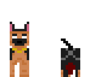 hiro poop dog