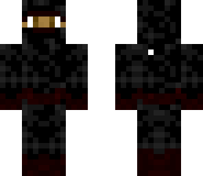 ninja dude