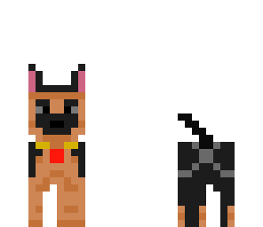 a new dog