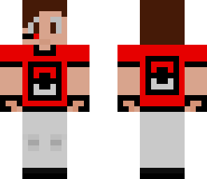 pokecraft gamer