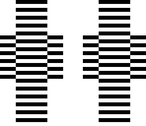 optical illusion 3