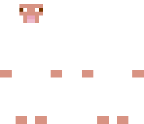 sheep