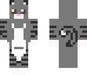 grey and black cat