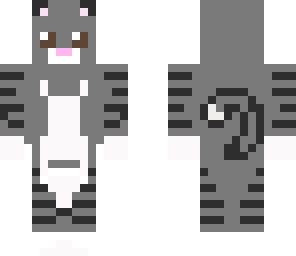 updated grey cat