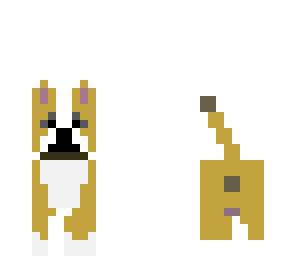 my dog