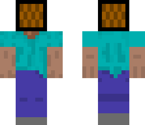 c418 steve