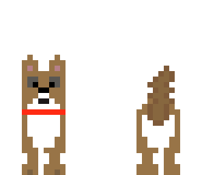 cute dog
