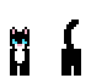 kitty cat