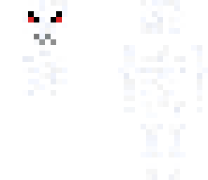 skelet