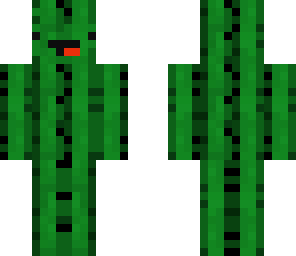 derpy cactus