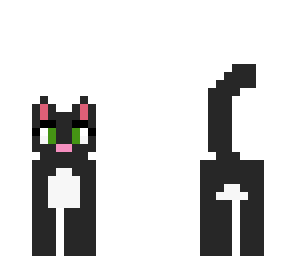 grey cat