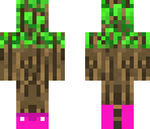 tree with snazzy shoes