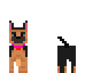 german shepard