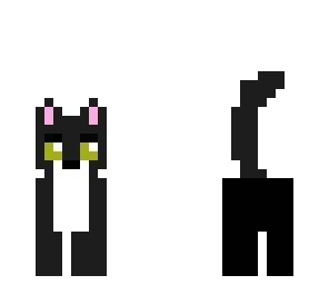 black cat