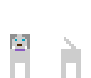 gray poodle