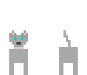 gray kitten