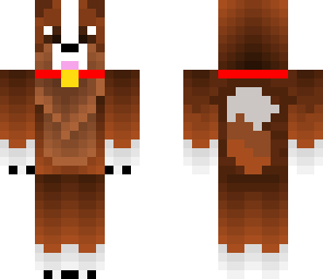 dog with red collar