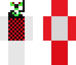 veljin skin