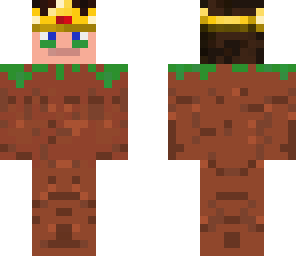 tiktak grass block skin - final version