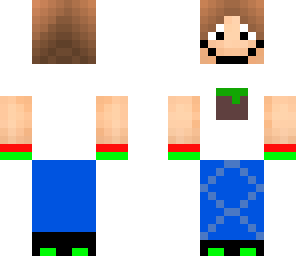 the minecraft fan