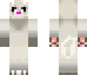 ferret