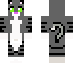 gray cat fixed