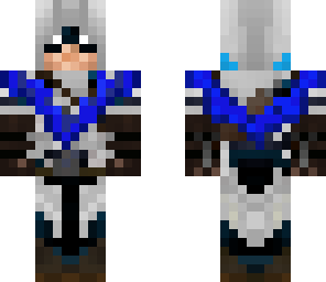 nightwing assassin