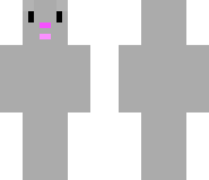 grey bunny