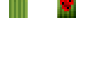 melon