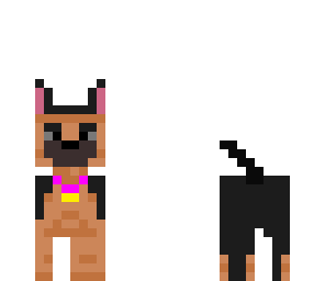 girl dog