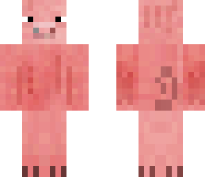  piggy