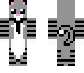 kitten with a tie