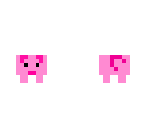 mini pig