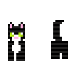 black tabby