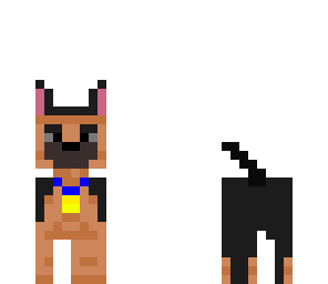 boy dog