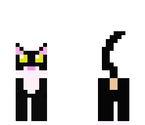 kitty