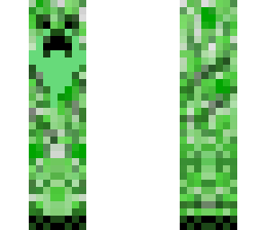bearded creeper