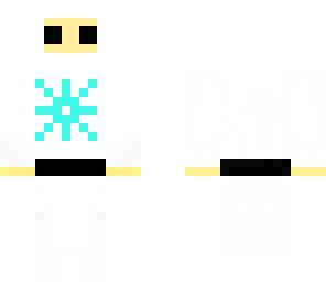 ice ninja