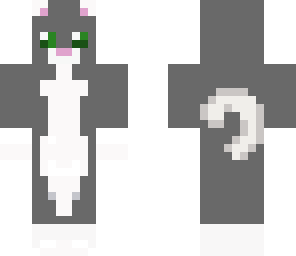 grey cat