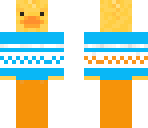 duck in sweater 