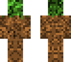 head of grass
