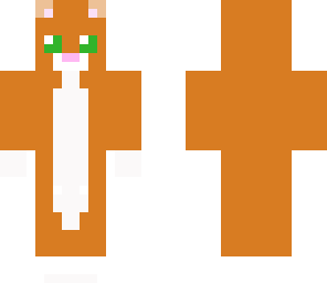 kitty cat