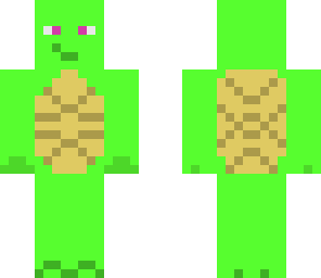 turtle man