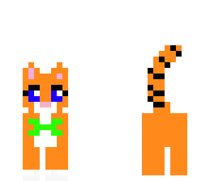 kitty cat