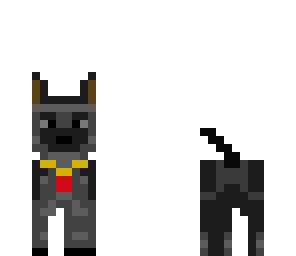 dog with collar