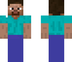 the new steve